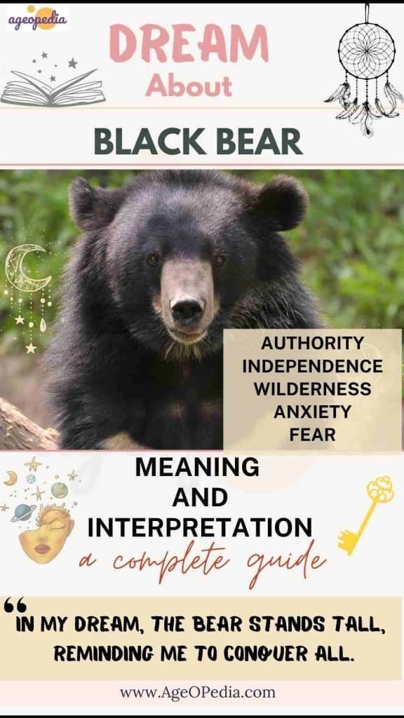 Dream about Black Bear: Biblical & Spiritual meaning, interpretation, good or bad