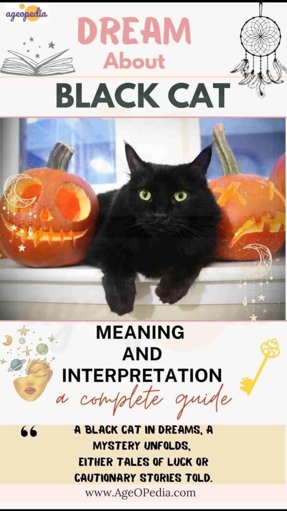 Dream about Black Cat: Biblical & Spiritual meaning, interpretation, good or bad