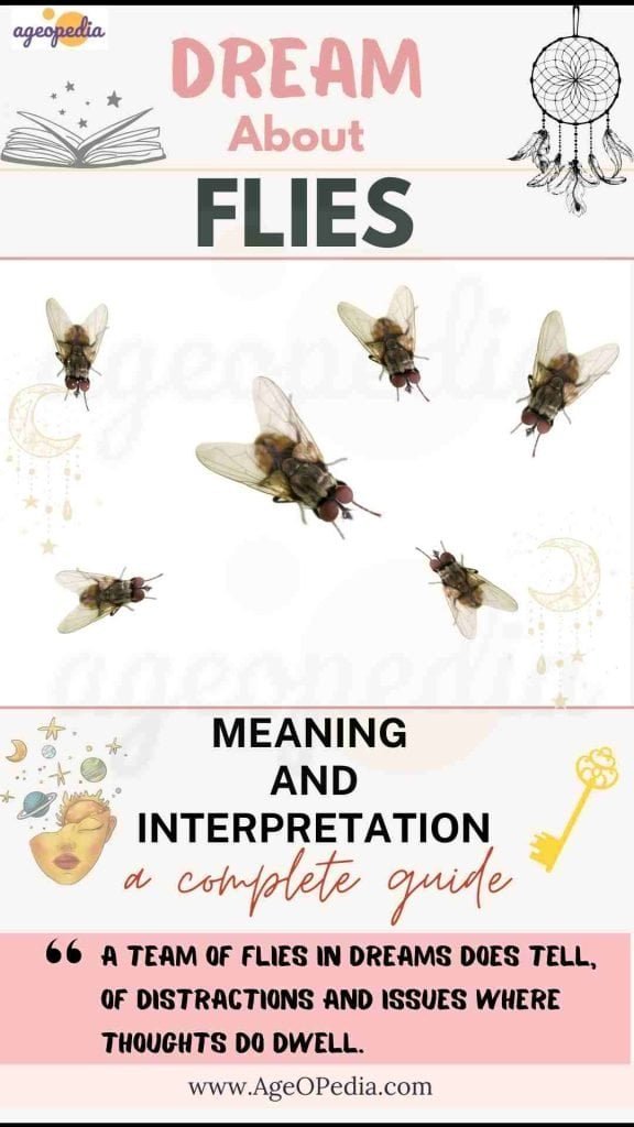 Dream about Flies: Biblical & Spiritual meaning, interpretation