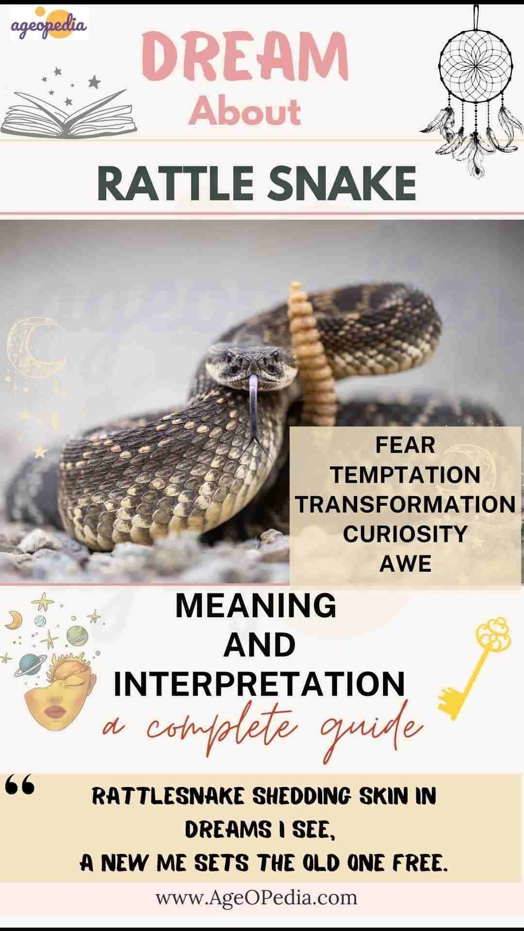 Dream about Rattlesnake: Biblical & Spiritual meaning, interpretation, good or bad