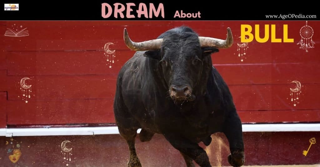Dream about Bull