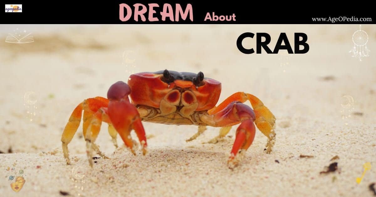 Dream about Crabs
