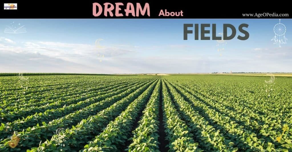 Dream about Fields