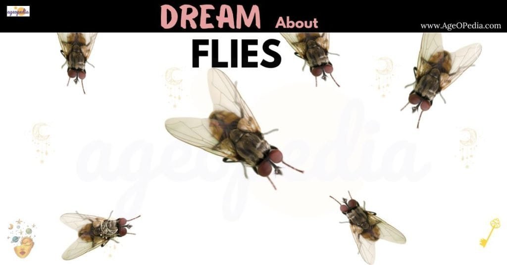 Dream about Flies