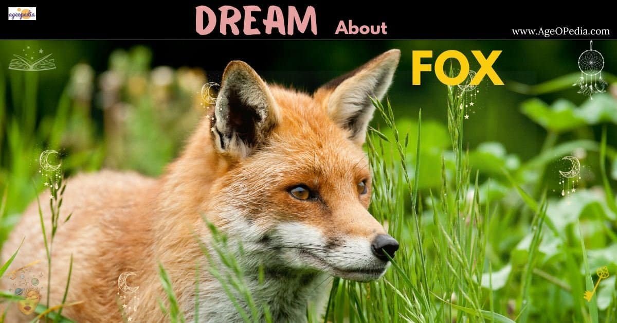 Dream about Fox