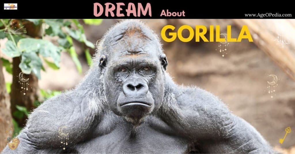 Dream about Gorilla