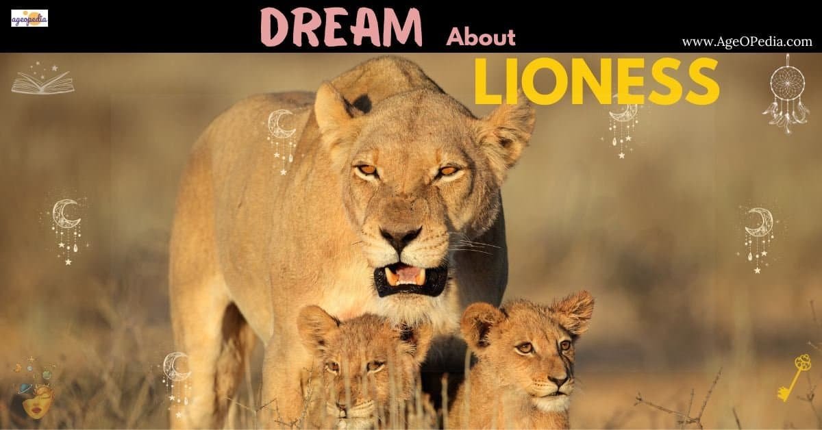 Dream about Lioness