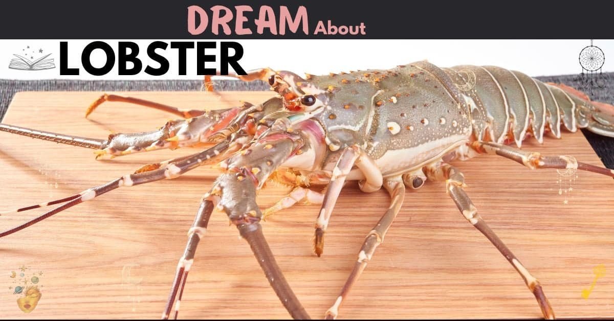 Dream about Lobster