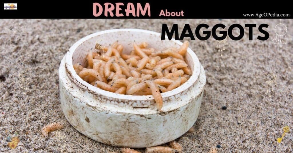 Dream about Maggots