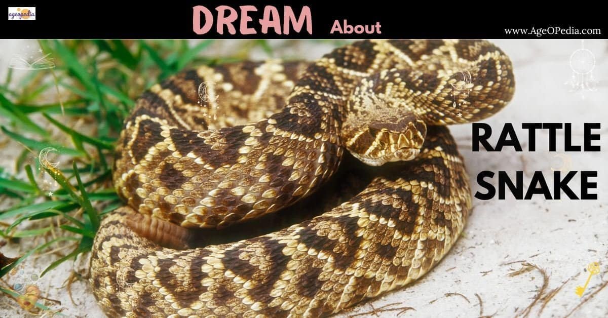 Dream about Rattlesnake