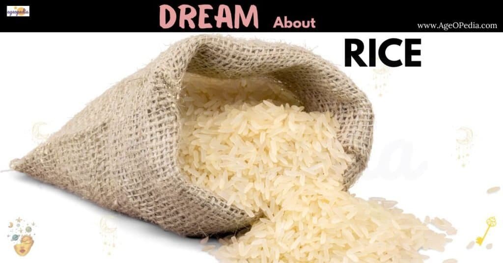 Dream about Rice