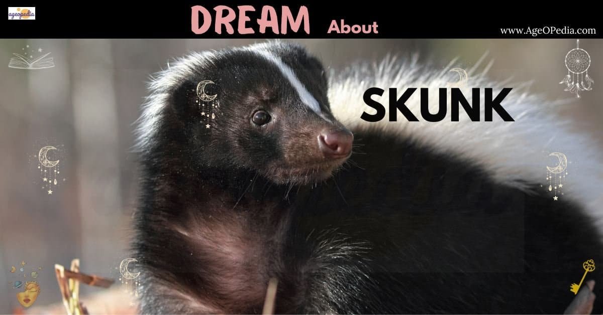 Dream about Skunk