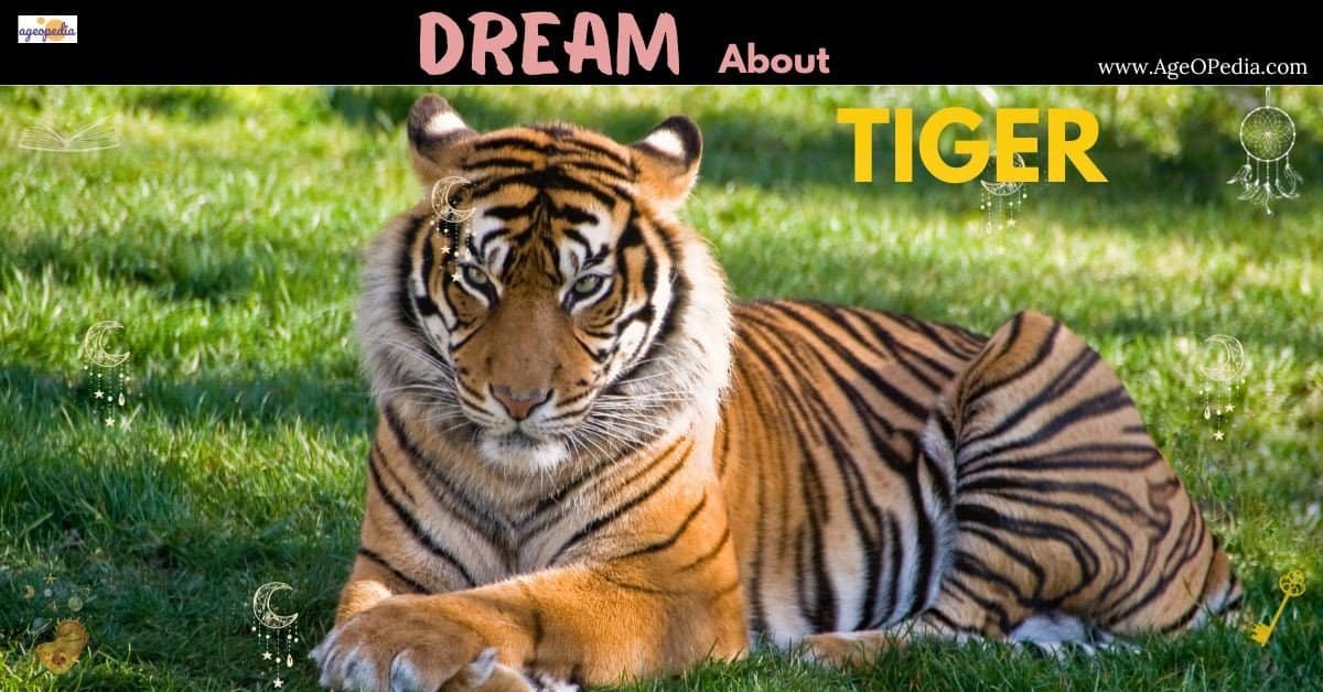 Dream about Tiger