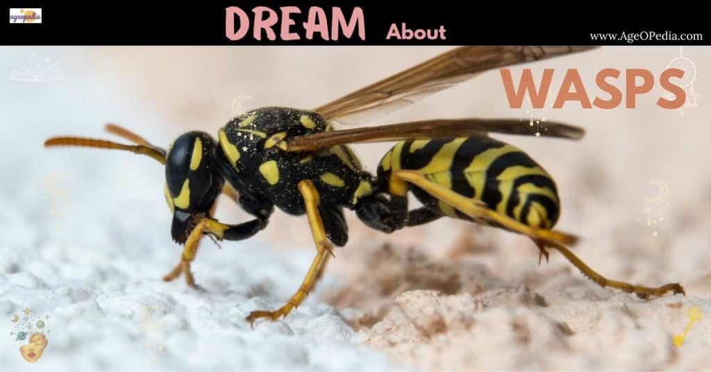 Dream about Wasps