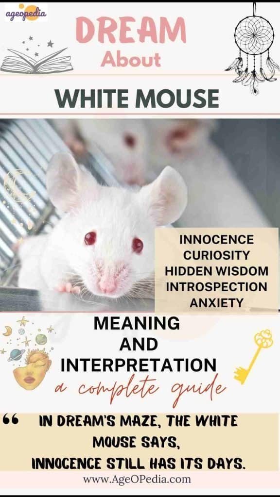 Dream about White Mouse: Biblical & Spiritual meaning, interpretation, good or bad