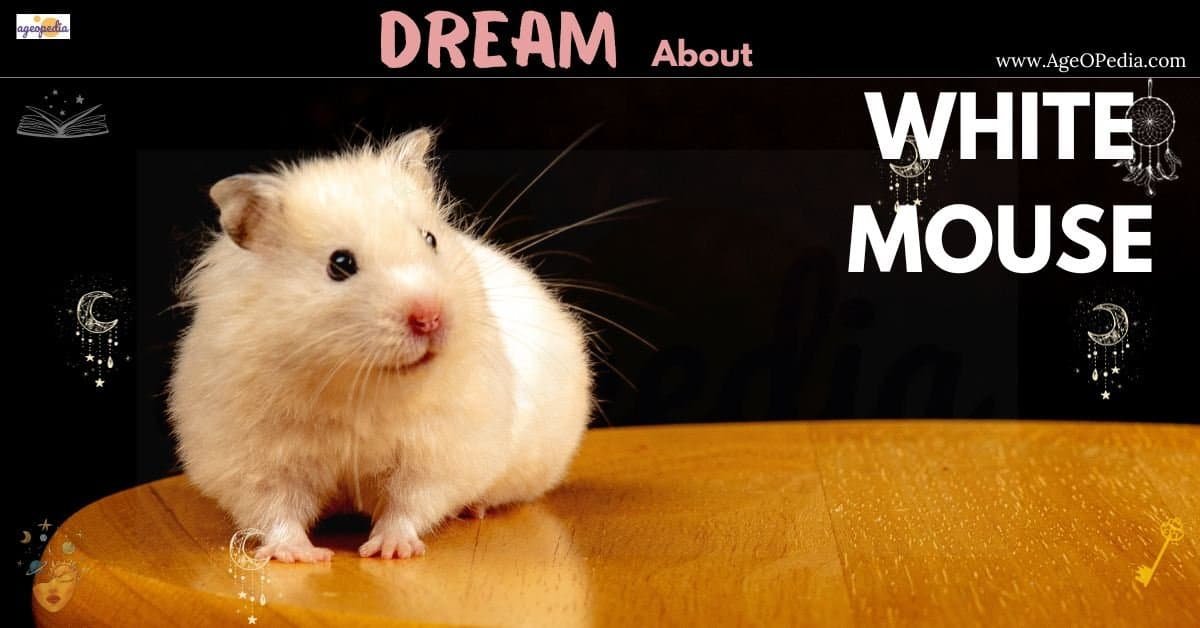 Dream about White Mouse