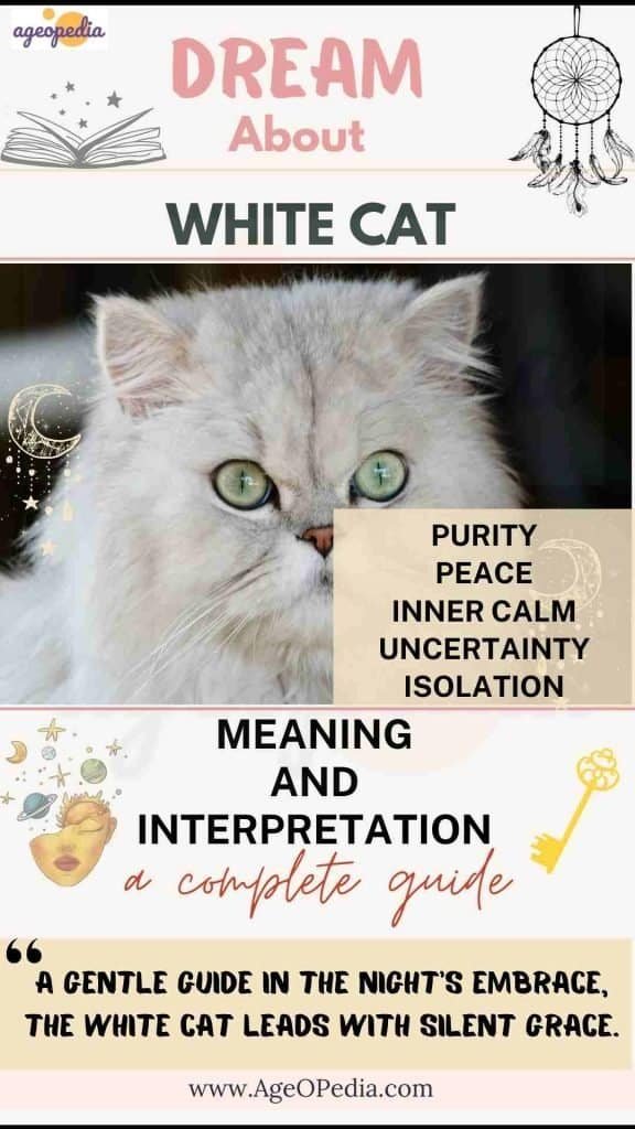Dream about White Cat: Biblical & Spiritual meaning, interpretation, good or bad